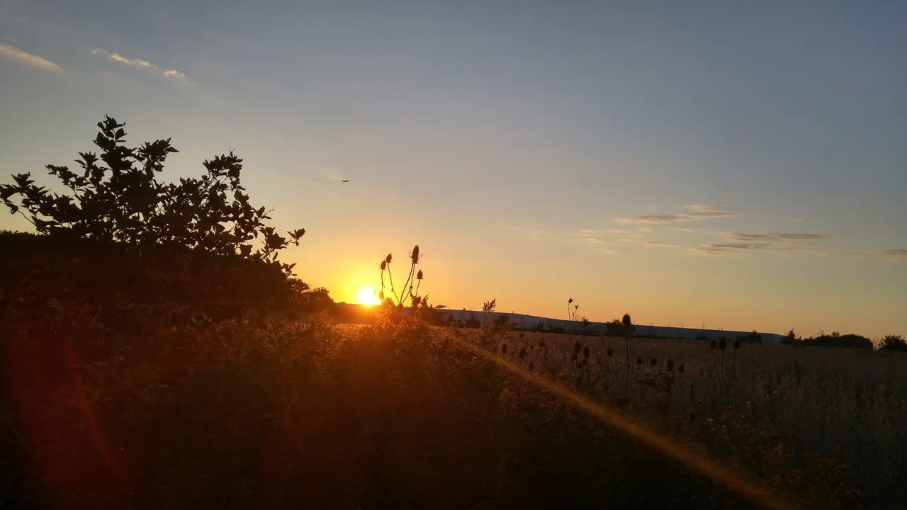 15759350-9c2e-45db-9d45-cb9607e6c713.jpeg