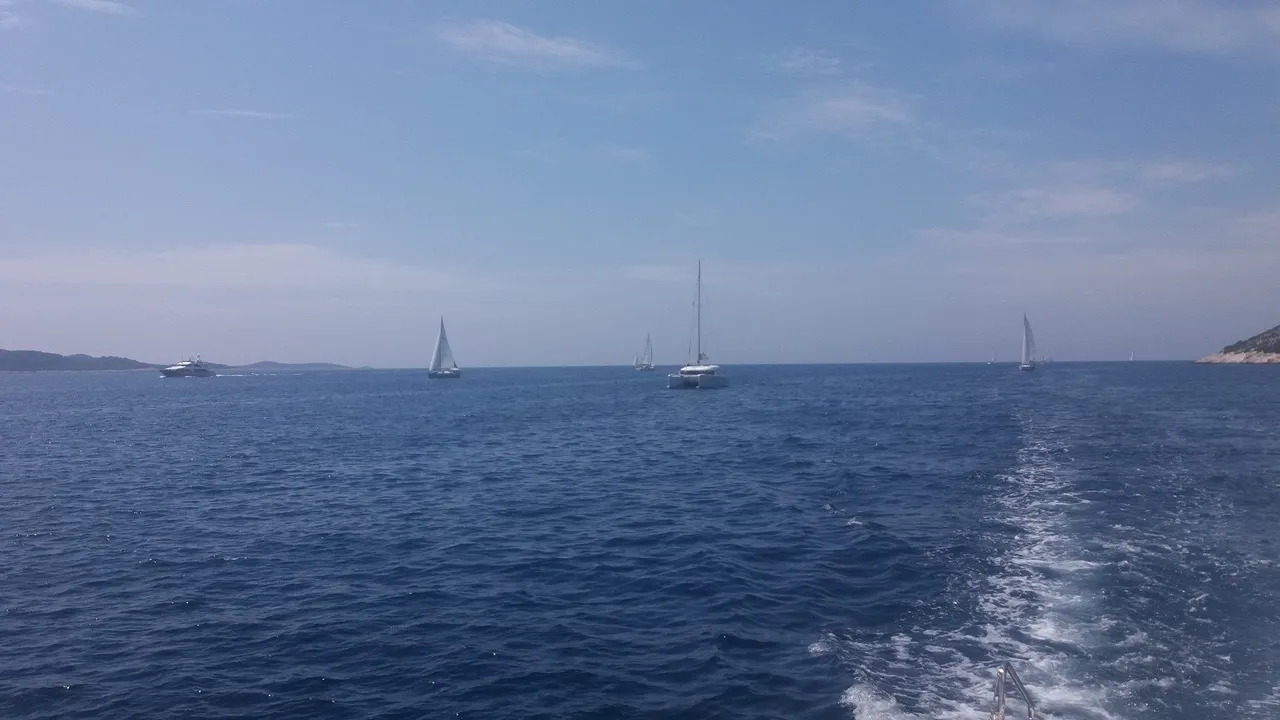 15e33bbe-75dc-446c-a065-497cf22874a1.jpeg