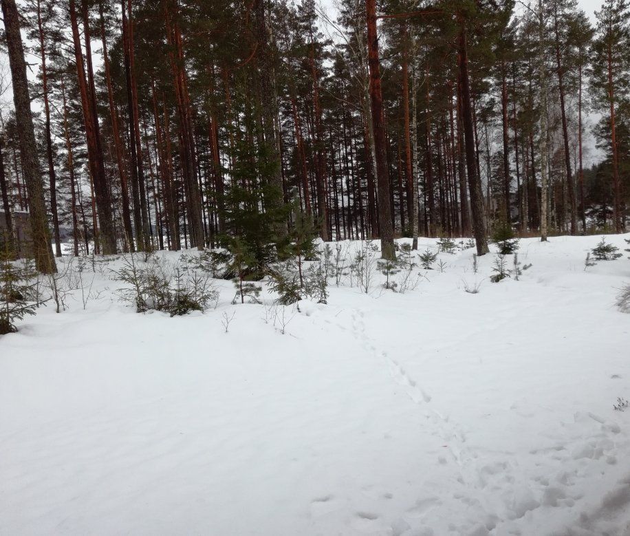 172ac58b-e308-4bc4-a68b-b062283c06e3.jpeg