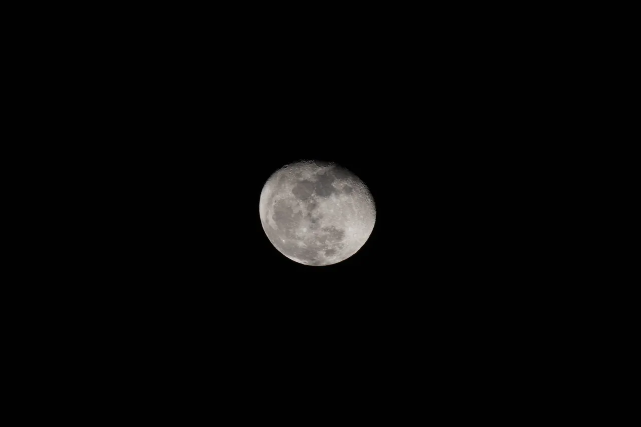 18d01a03-65ad-4579-833e-790be3b33a18.jpeg