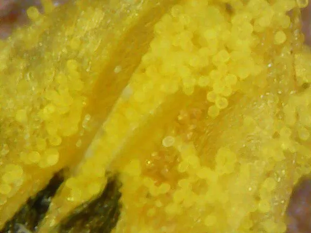 19686b5e-75fe-4685-807f-a92d4a3b6aeb.jpeg