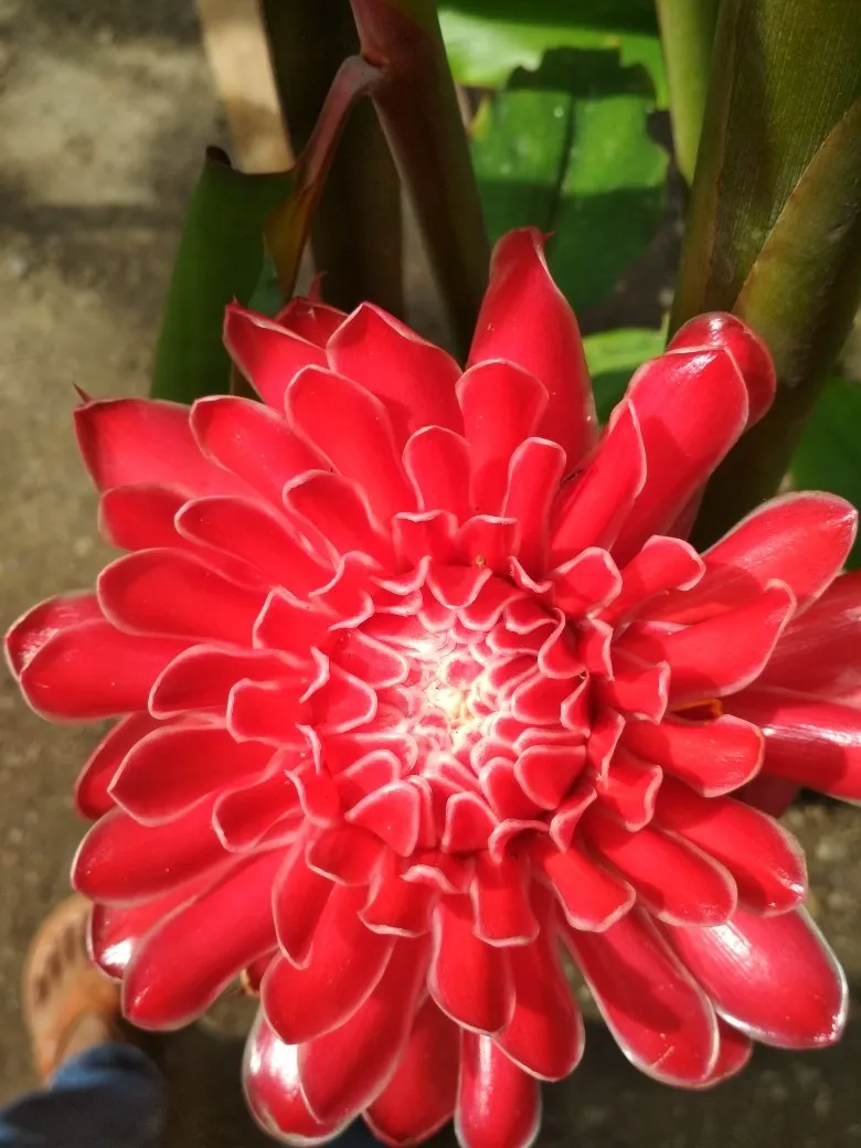 198f40db-4729-4ded-8b37-10628f2484dd.jpeg