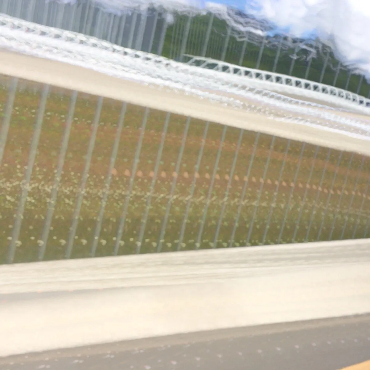 19d49479-8b5d-4345-9d95-5ed8d0d1944a.jpeg