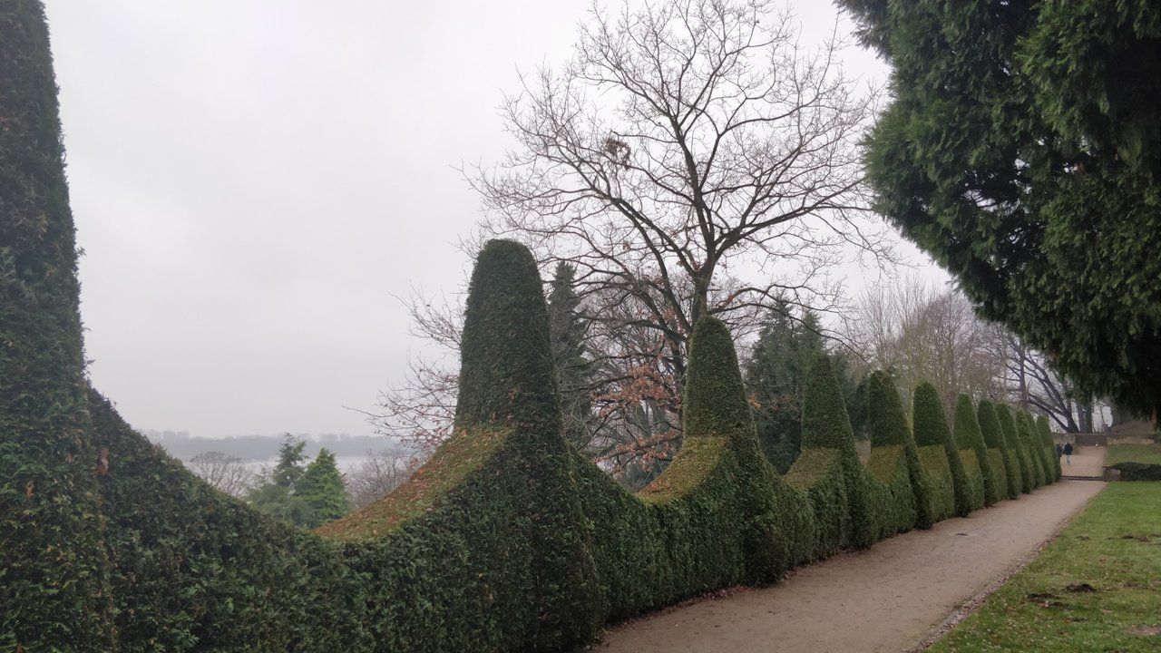 1a333274-6d10-432d-a89a-5b51ef59a89a.jpeg