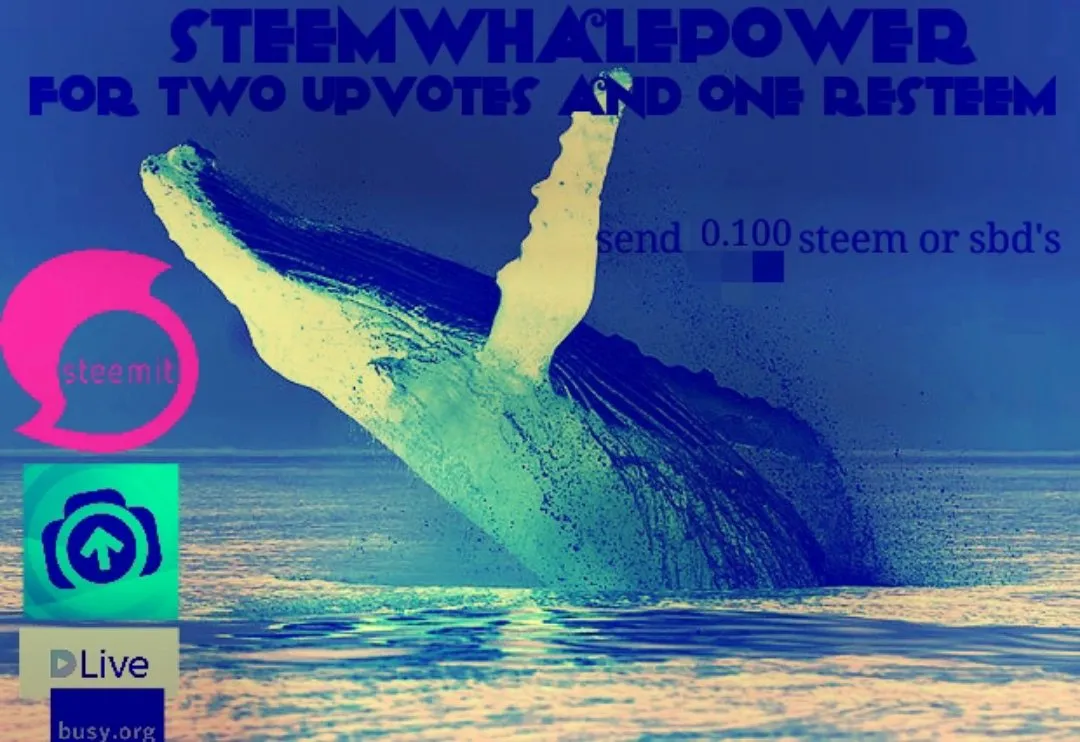 1d2ce383-d01f-4fdb-9d75-ab293be05b27.jpeg