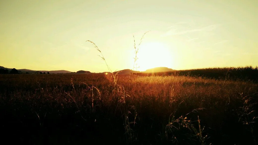 1dc23c8b-b1d5-4738-8409-c75c2f969c75.jpeg