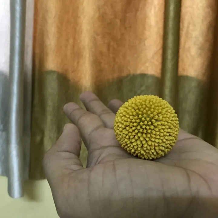 1e1d4b19-3840-4aeb-8f77-0214bacaeb2e.jpeg