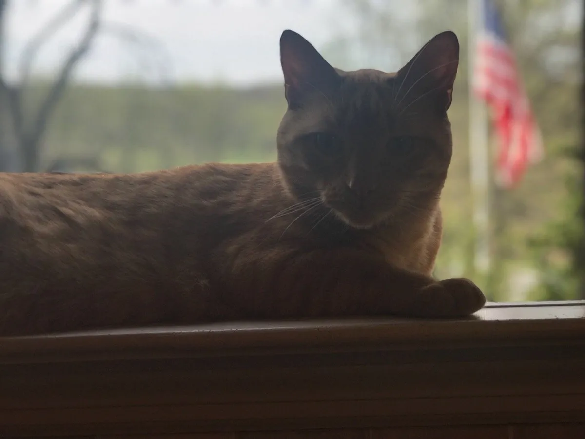 22c1f722-c576-4b73-a4de-76b70224c61e.jpeg