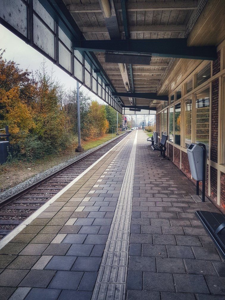 237fc004-3b2c-47b2-97d4-89fd21a97e8c.jpeg