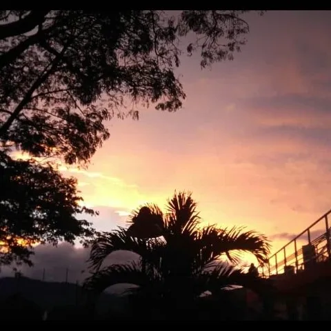 26f8d87d-9b68-45bd-a2fd-10d34e887429.jpeg