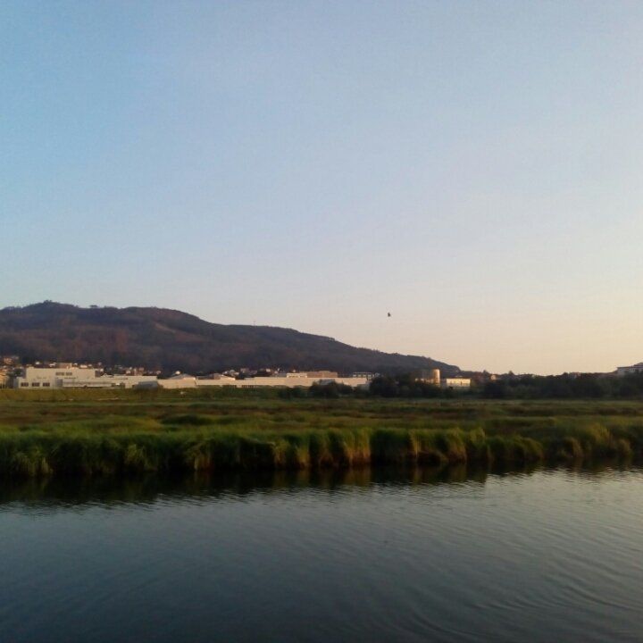 271a8a78-a04b-4590-94b8-483907704abe.jpeg