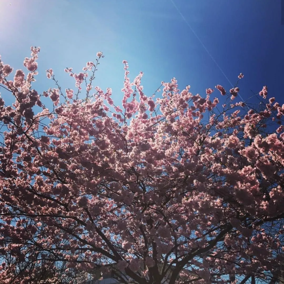 27838b35-de2d-43d6-8ae0-ce65b5146b97.jpeg