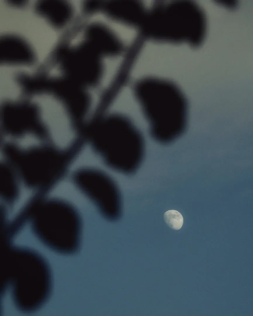 29998c65-b58f-4dbb-9f82-729a6e4dc43f.jpeg