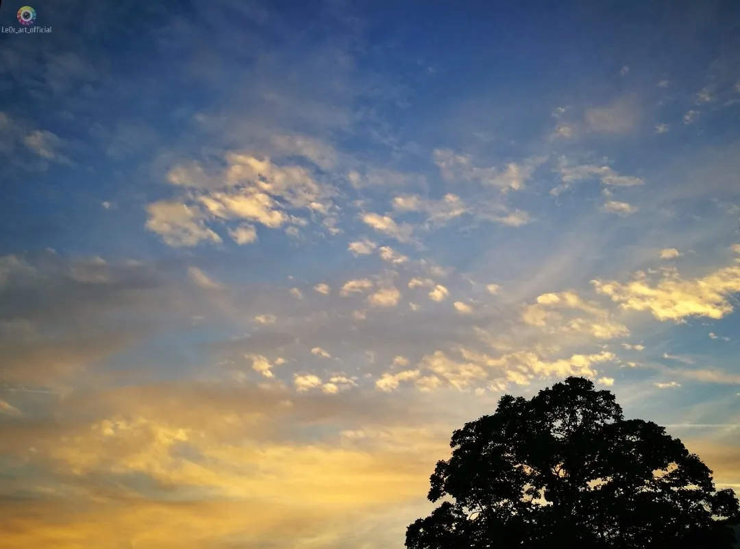 29d52673-7459-4e5c-aad9-bf62ef5142fd.jpeg