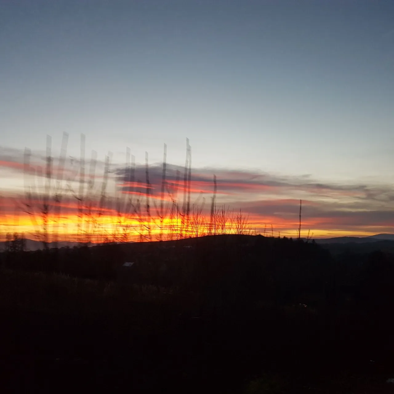 2a39b25a-613a-4385-86f7-0d1d8df3a6ec.jpeg