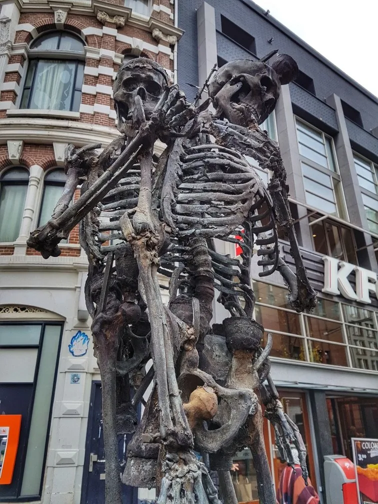 2e66fa33-716e-4333-aa12-da8e480b6936.jpeg