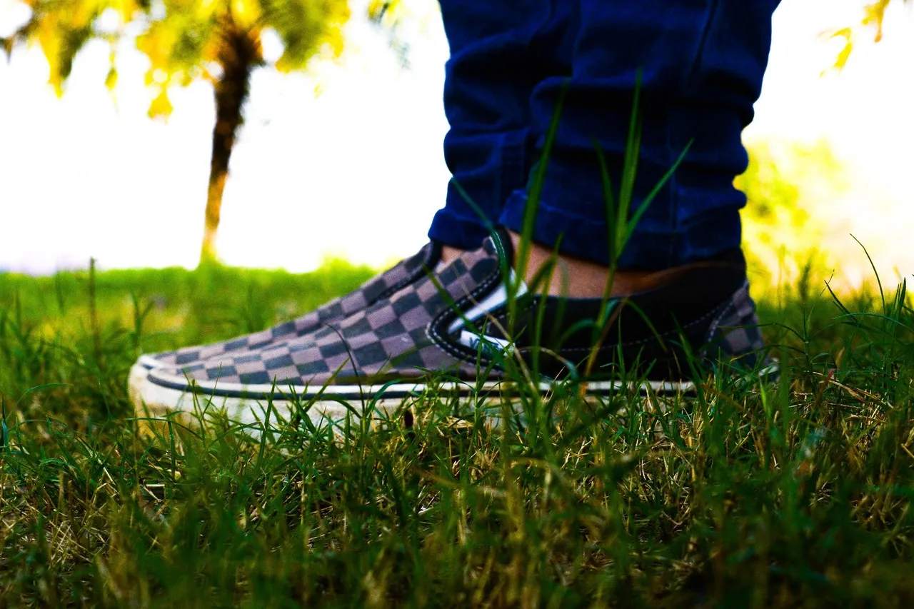 2f18275b-1bb3-42b0-8c9b-362573478b5f.jpeg