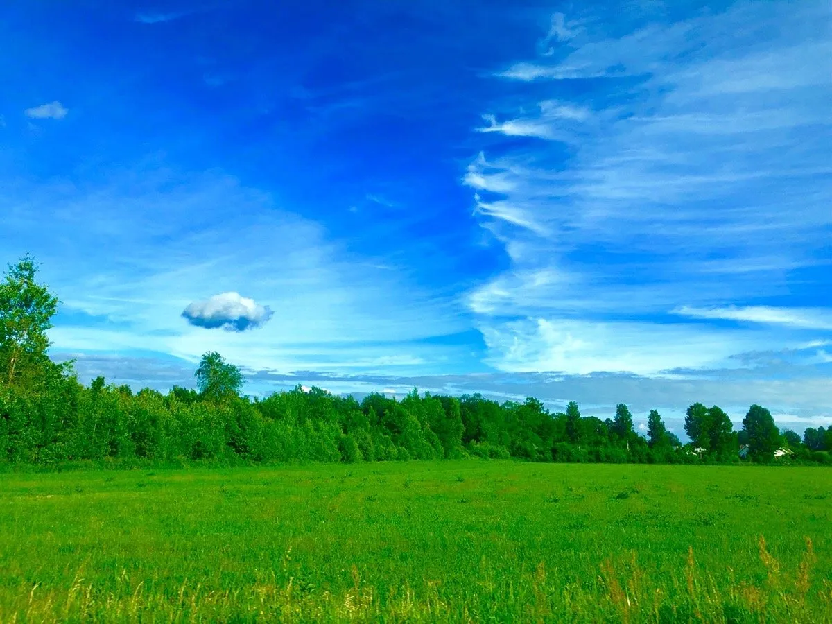 2faec910-c57a-4f4b-a0af-0626a68d9fed.jpeg