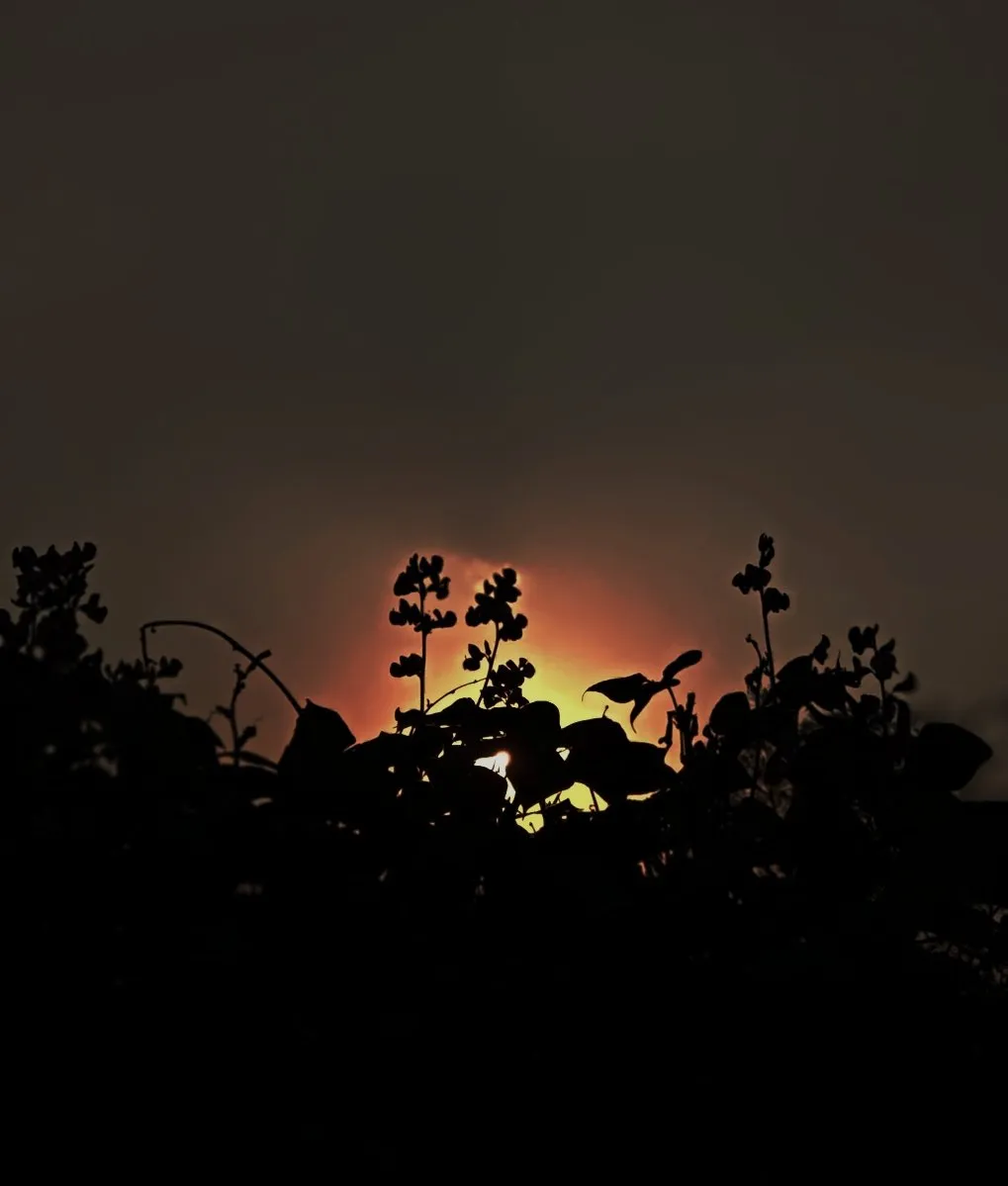 316d151d-80ea-4c5e-b9dd-2ed989f9119b.jpeg