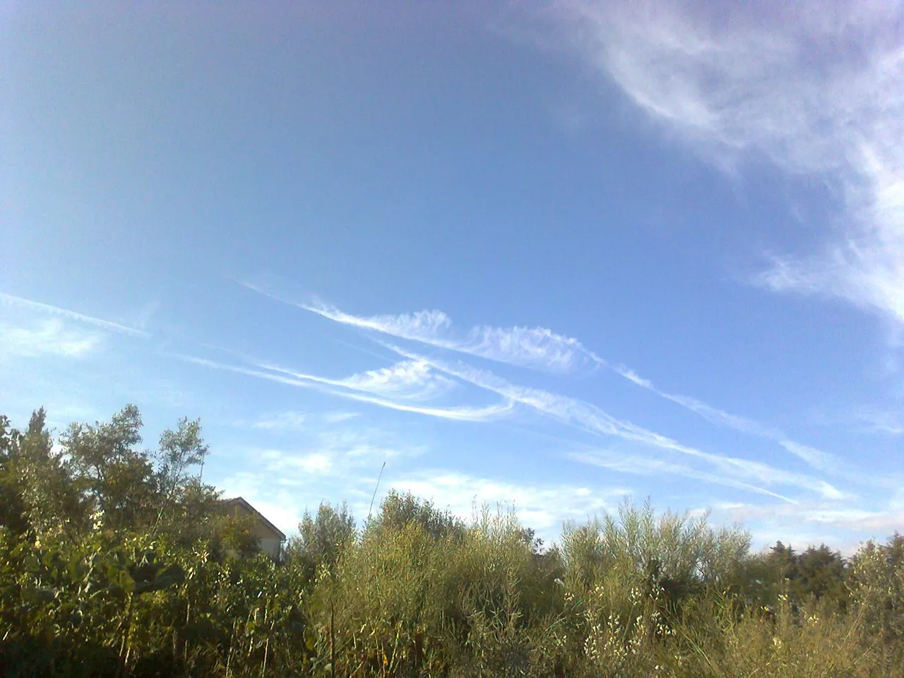 3212ef3d-96d8-4719-8027-fe0a64c2e415.jpeg
