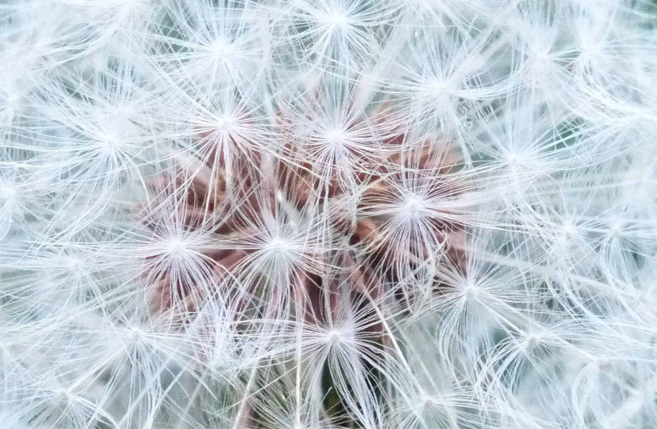 365348f0-4681-40d0-ad0f-309090af31c7.jpeg