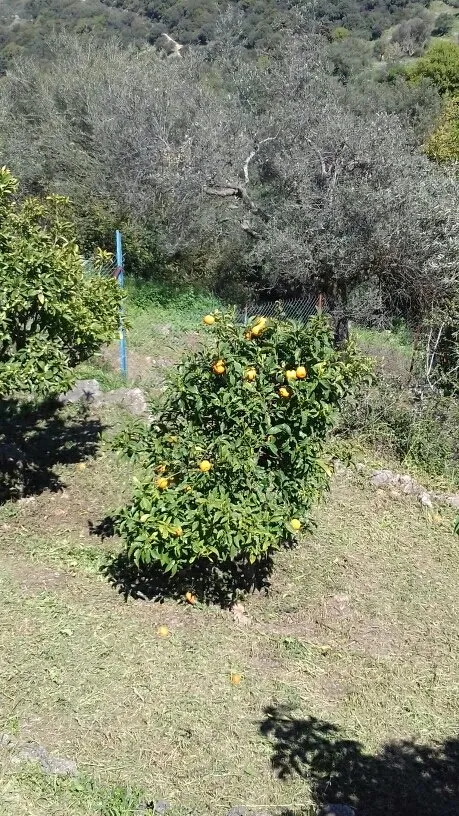 38805ca7-4494-409b-abca-bcdcc0c1e2e8.jpeg