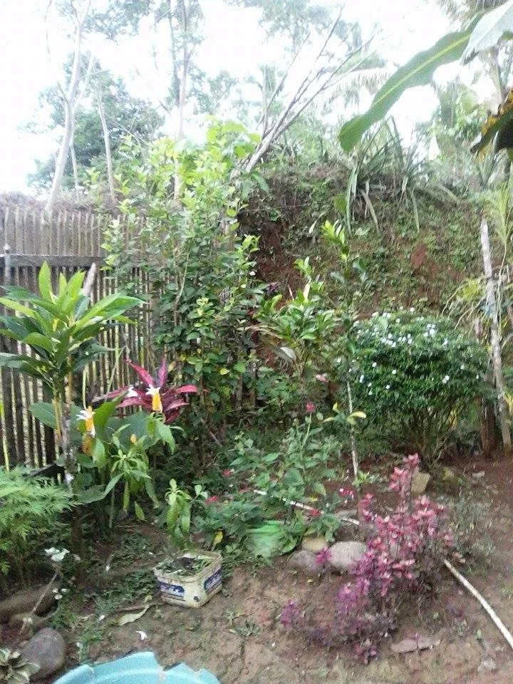 38da5c36-ea21-4031-ab5e-38636b7d7815.jpeg