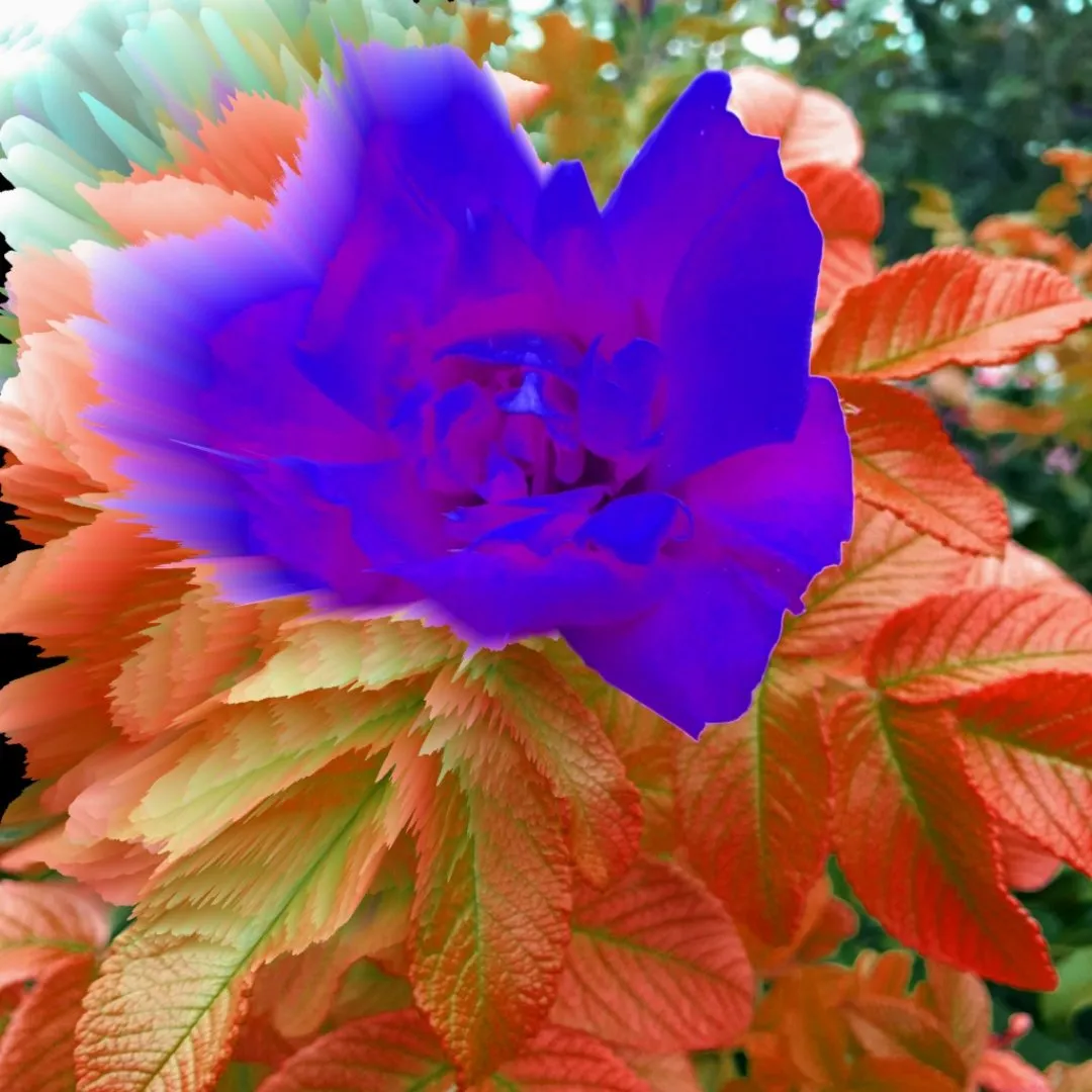 3957404d-6888-4049-93fc-953c71d70078.jpeg