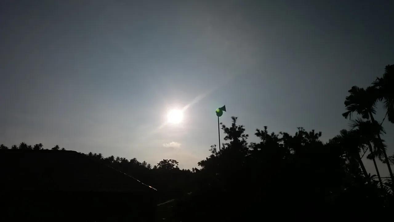 3d43305d-f22e-4edc-9631-41187003646e.jpeg