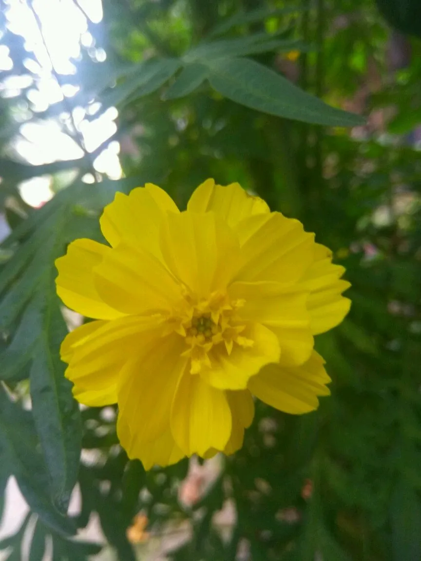 3d7f1719-180e-41e5-856b-f4a9a5fae013.jpeg