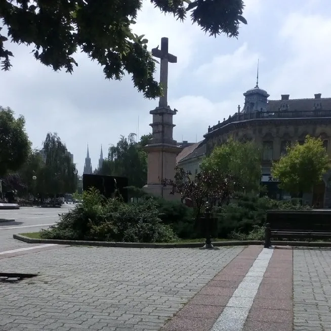 3d848859-879b-464d-85ea-099c3c4ff002.jpeg