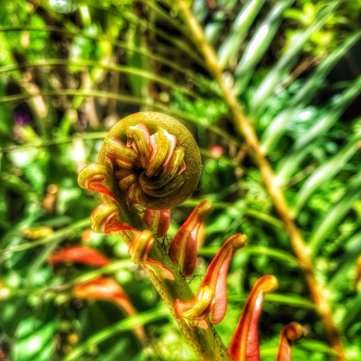 47365543-df46-4776-bc29-c89b2ea23261.jpeg