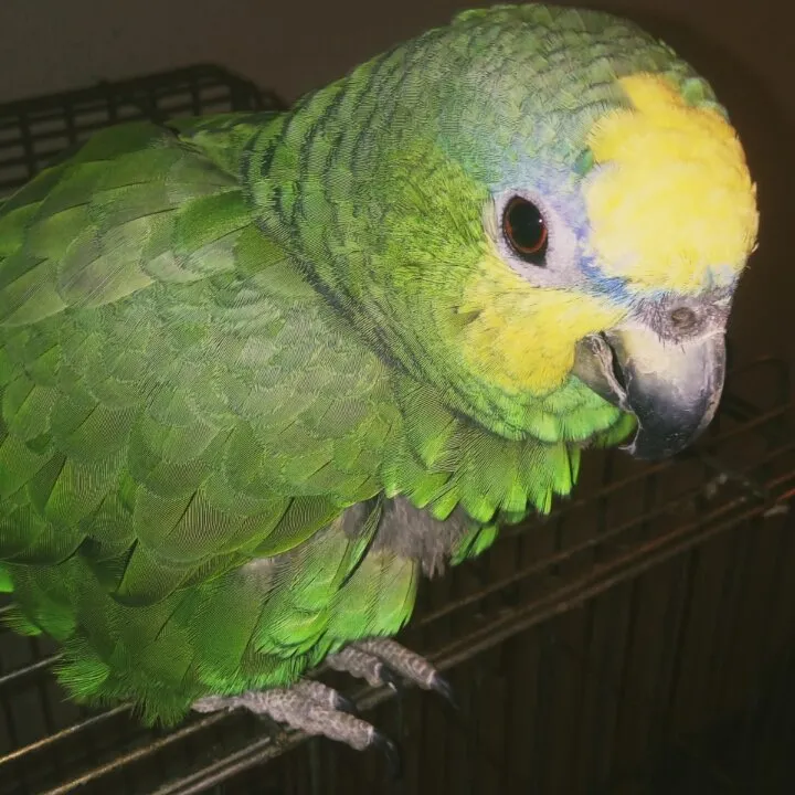 500b0ff2-308f-4460-9cfc-72be014e76a7.jpeg