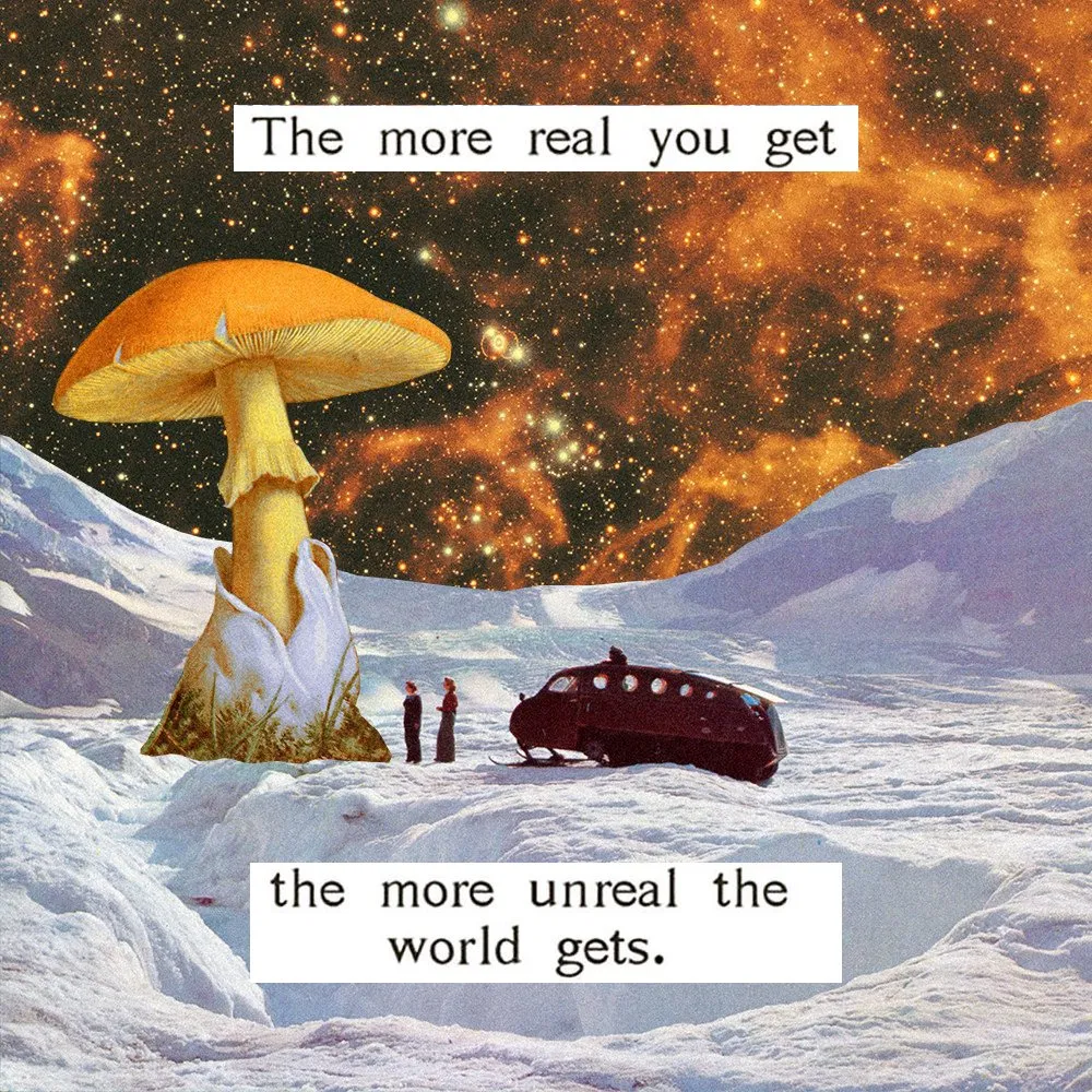 5336e327-3ee0-499d-af78-14caf1d4ae1a.jpeg