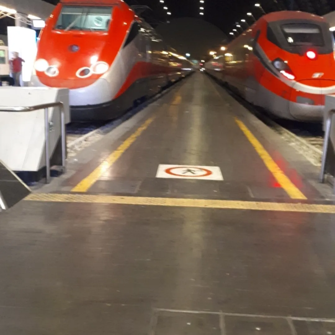 53f80a52-963d-482f-9ce8-0d0d07fba277.jpeg