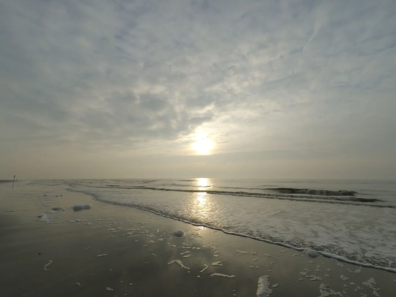 5ed8f662-46d8-4c0d-81bc-ef80f4473ed8.jpeg