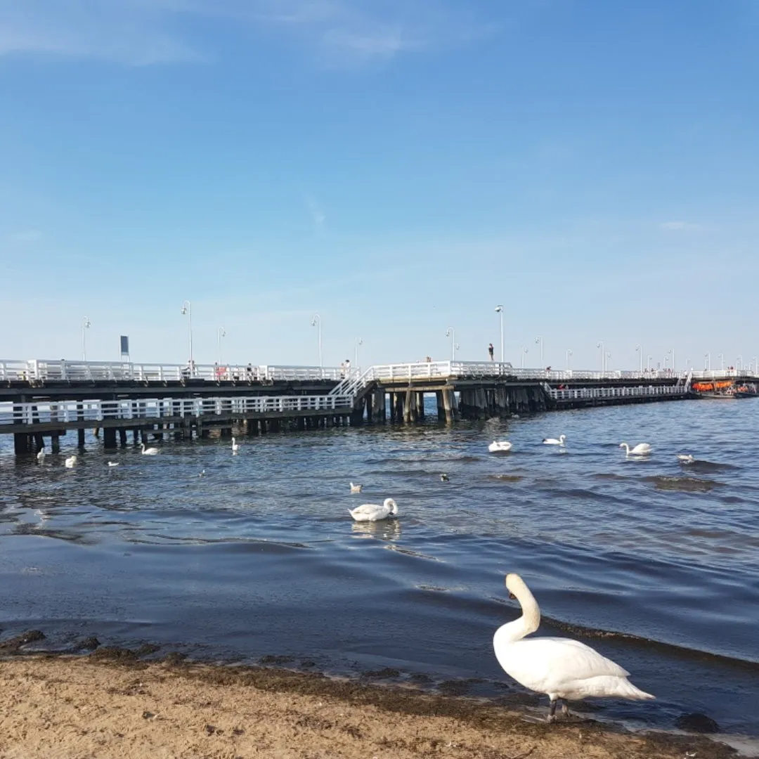 60d33568-be2f-4ce1-9c32-b30c5462fcdf.jpeg