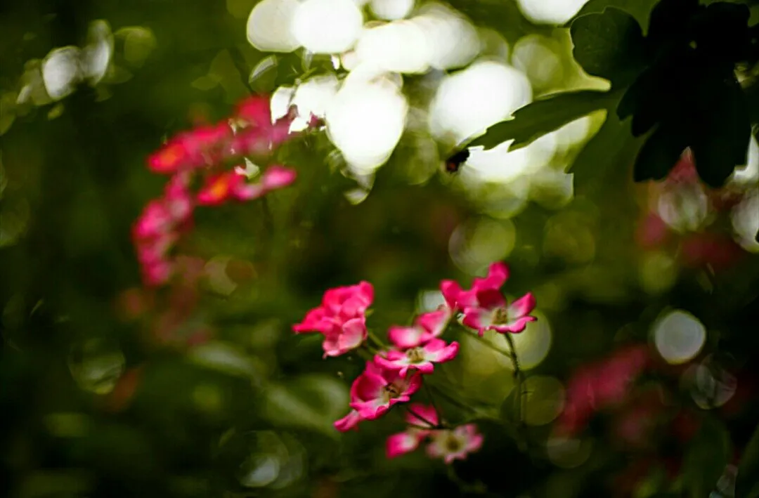 63e3ff86-ebcd-4e1e-9ce2-687a9c05656c.jpeg
