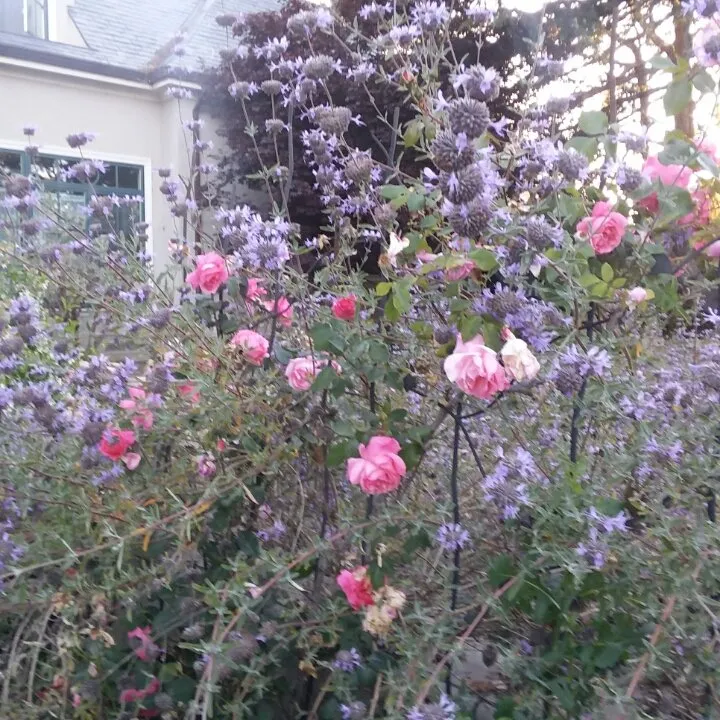 67566125-f965-4dd7-9f84-53c340ad2d49.jpeg