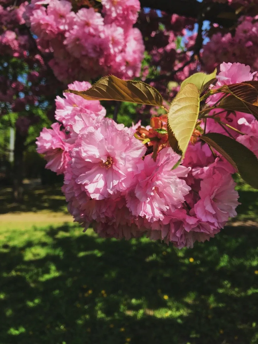 69ed0879-cf6a-43e1-a186-1fc2ad3b0203.jpeg