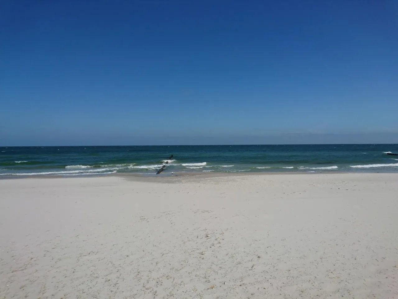 6b870f91-f7be-42c3-a086-5ec7296bc3c4.jpeg