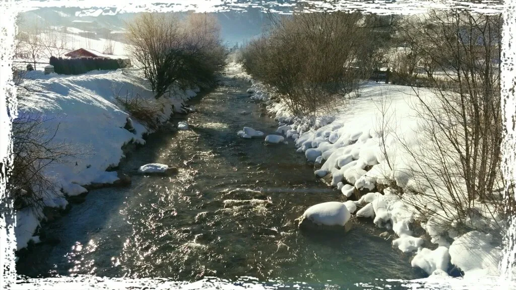 6c1dc738-5b16-4287-9b75-a3bba061bac3.jpeg