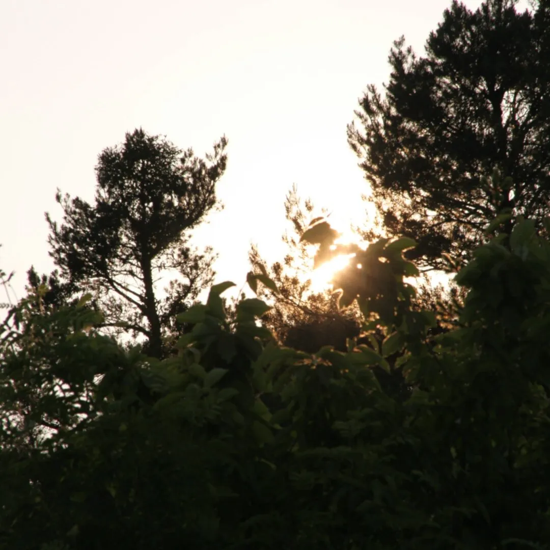 6f2e39ea-5948-4d01-95e2-1e2a2dd3dc97.jpeg