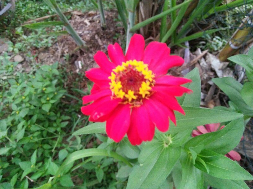 6fd4ecd4-824b-4a1f-8a10-90cc909170d1.jpeg