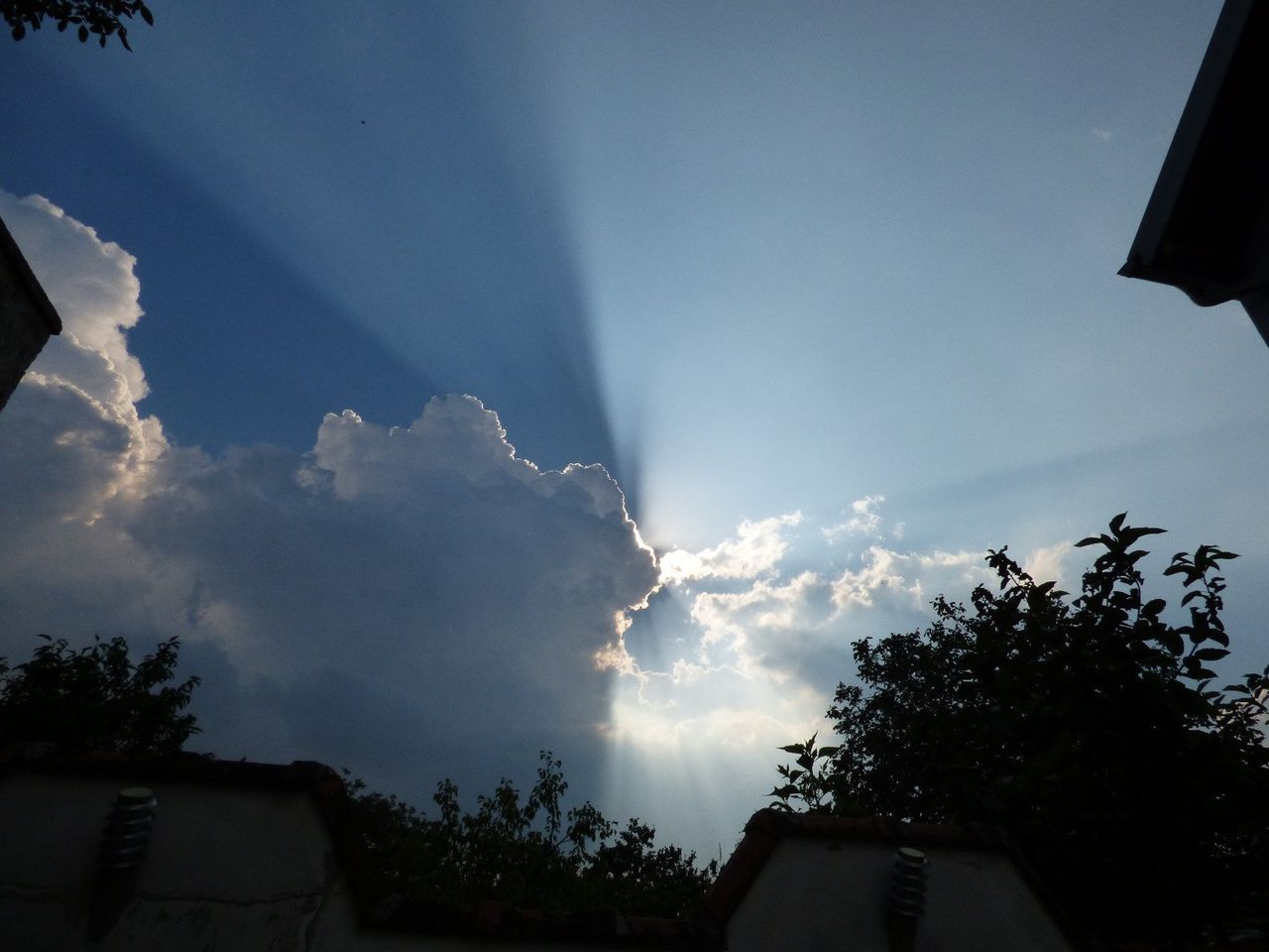 70e91c89-1ad3-44d8-8ba2-cafda078bf75.jpeg