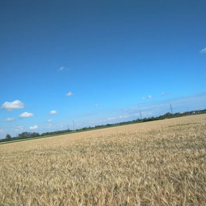 734c573d-3564-4562-b477-1514897b1e2b.jpeg