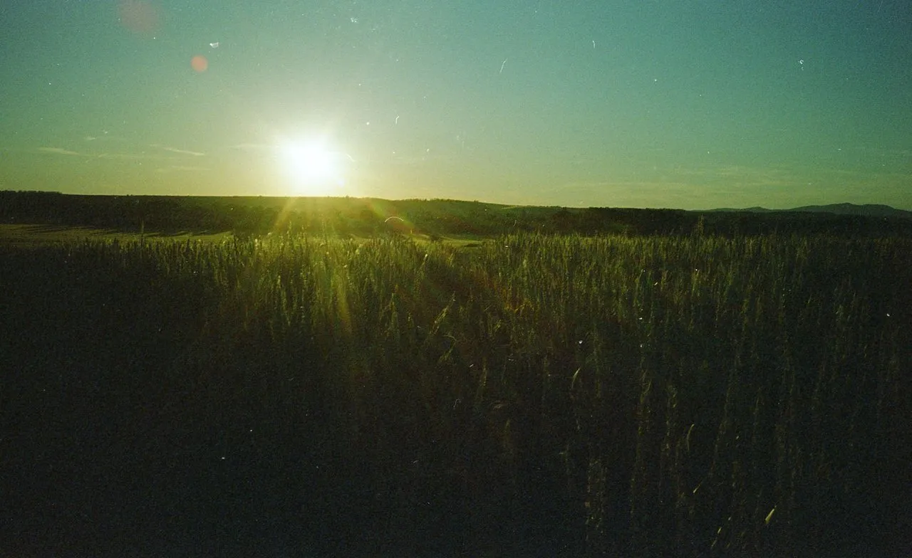 757391a9-c31a-454e-9f9a-1de2daad68c2.jpeg