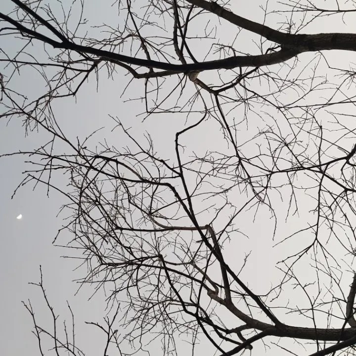 7d042db9-222f-4ffb-8c13-94e3684d5820.jpeg