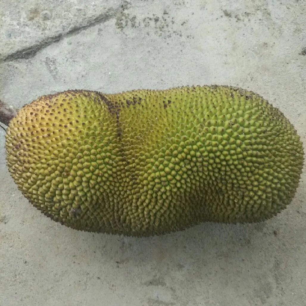 7d87bfc7-aef8-4b3c-a62d-4a1df721ac5f.jpeg