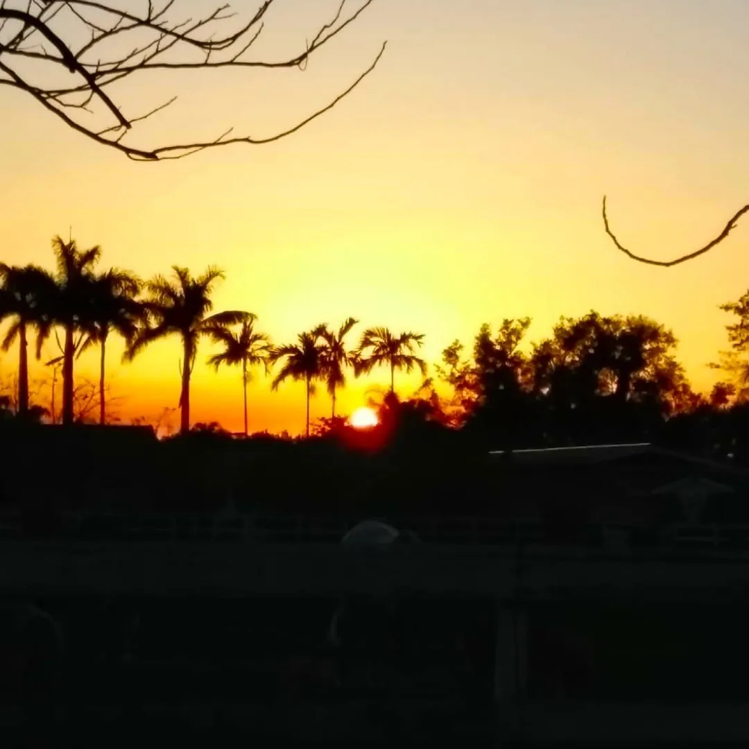 7ea636f5-cf81-4400-aecb-e18f121c8bf3.jpeg